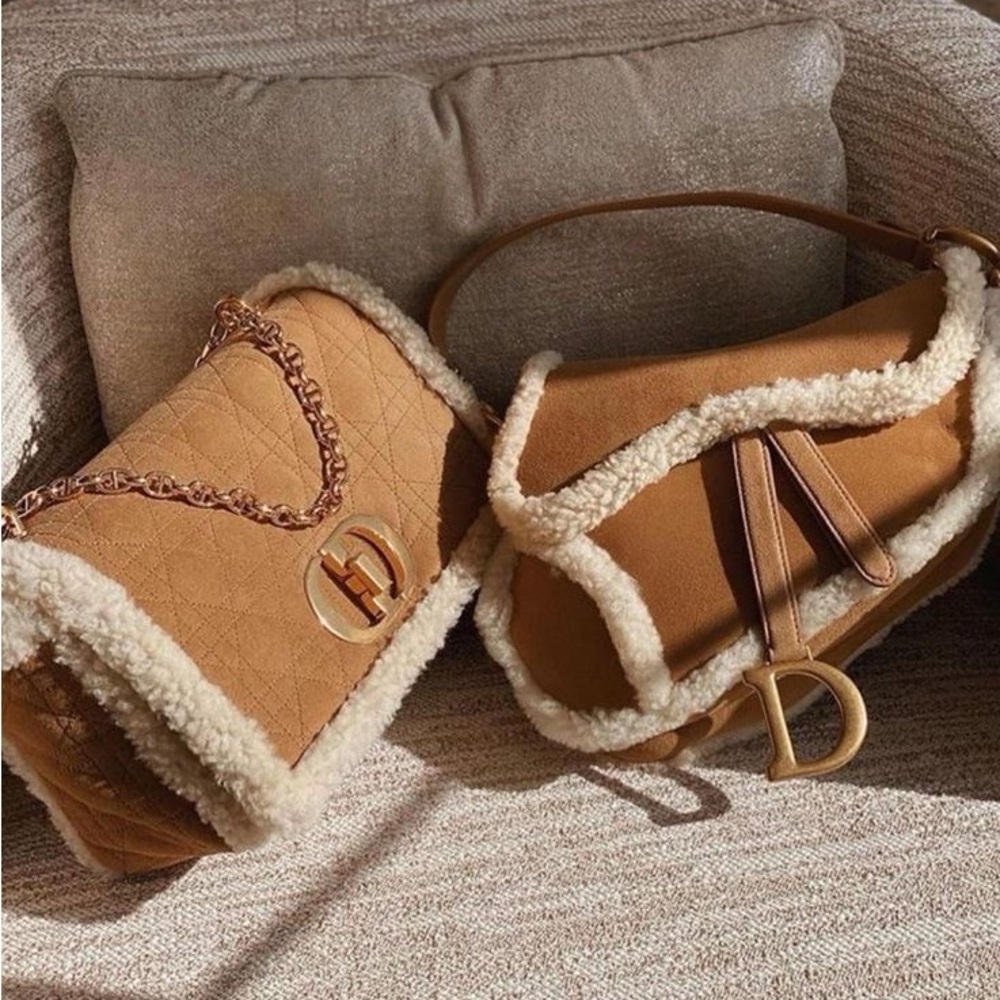 Dior Saddle Shearling Bag - Picture 2 of 7